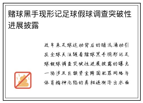 赌球黑手现形记足球假球调查突破性进展披露