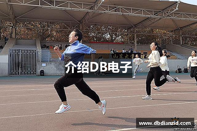 介绍DB电子